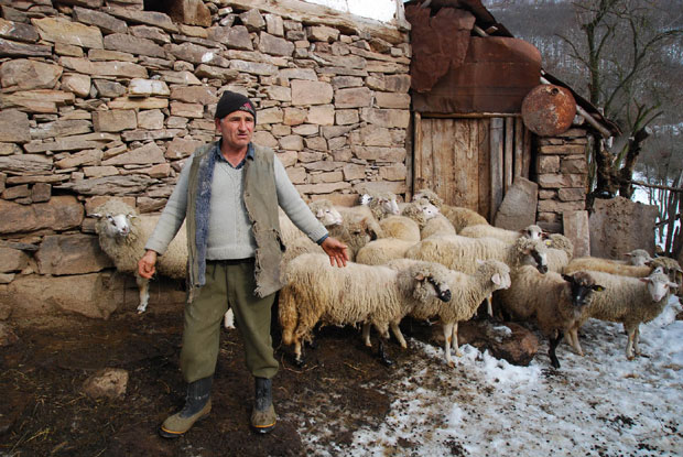 Навикли на студен и самоћу